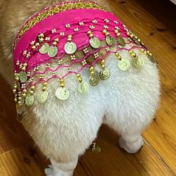 Corgi Special Skirt That Shakes the Hips, Funny Clothes for Small Dogs, Sexy Pet, Cute and Quirky Accessories, Belly Dance Skirt