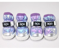 Красочный фиолетовый