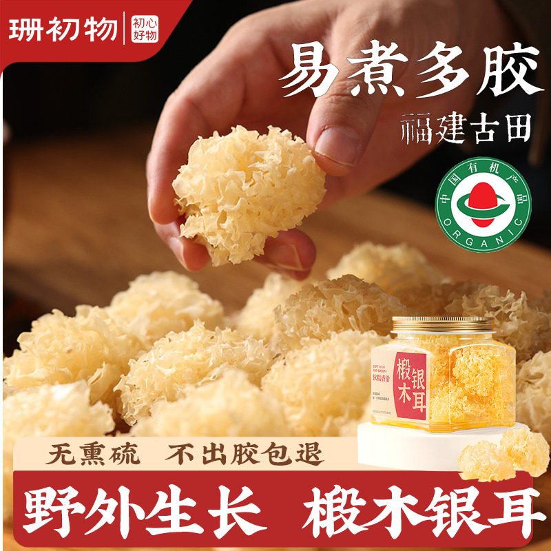 有機栽培の菩提樹で乾燥させた小さな白きくらげ、非高級の野生のもち白きくらげスープ、そのまま食べられ、簡単に煮出してゼラチンが溶け出し、硫黄不使用の白きくらげ。