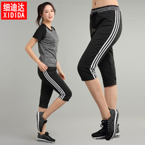 Summer thin sports pants women loose size quick-drying breathable high waist running slim fitness pants casual shorts