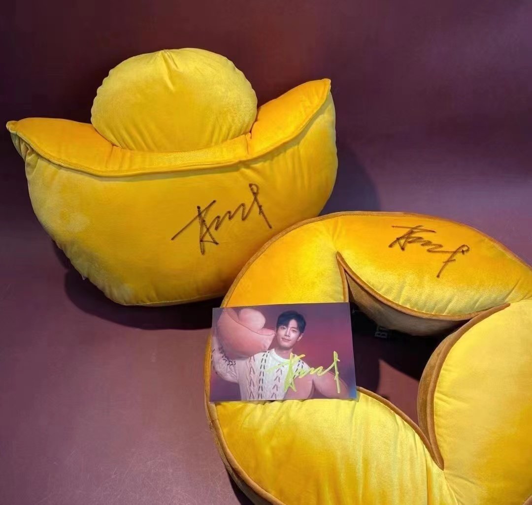 Xiao Zhan Autographed Yuanbao Figure Children's Same Style Event Live Fidelity Collection Gift Essential Products