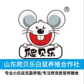 山东爬贝乐白鼠养殖合作社