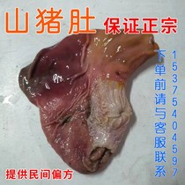 新鲜野猪肚山猪肚假一赔十顺丰西藏新疆等地不发货代加工磨粉