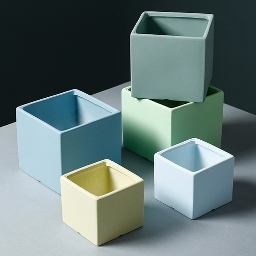 Полихид горшечный лоток. Поддержите мясные растения северные деревянные зеленые растения и водяная вода с четырьмя сечениями