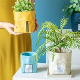 2024 Новые керамические пакеты с кожи для ветра INS, творческий полихид в горшках, северная европейская производители прямые продажи