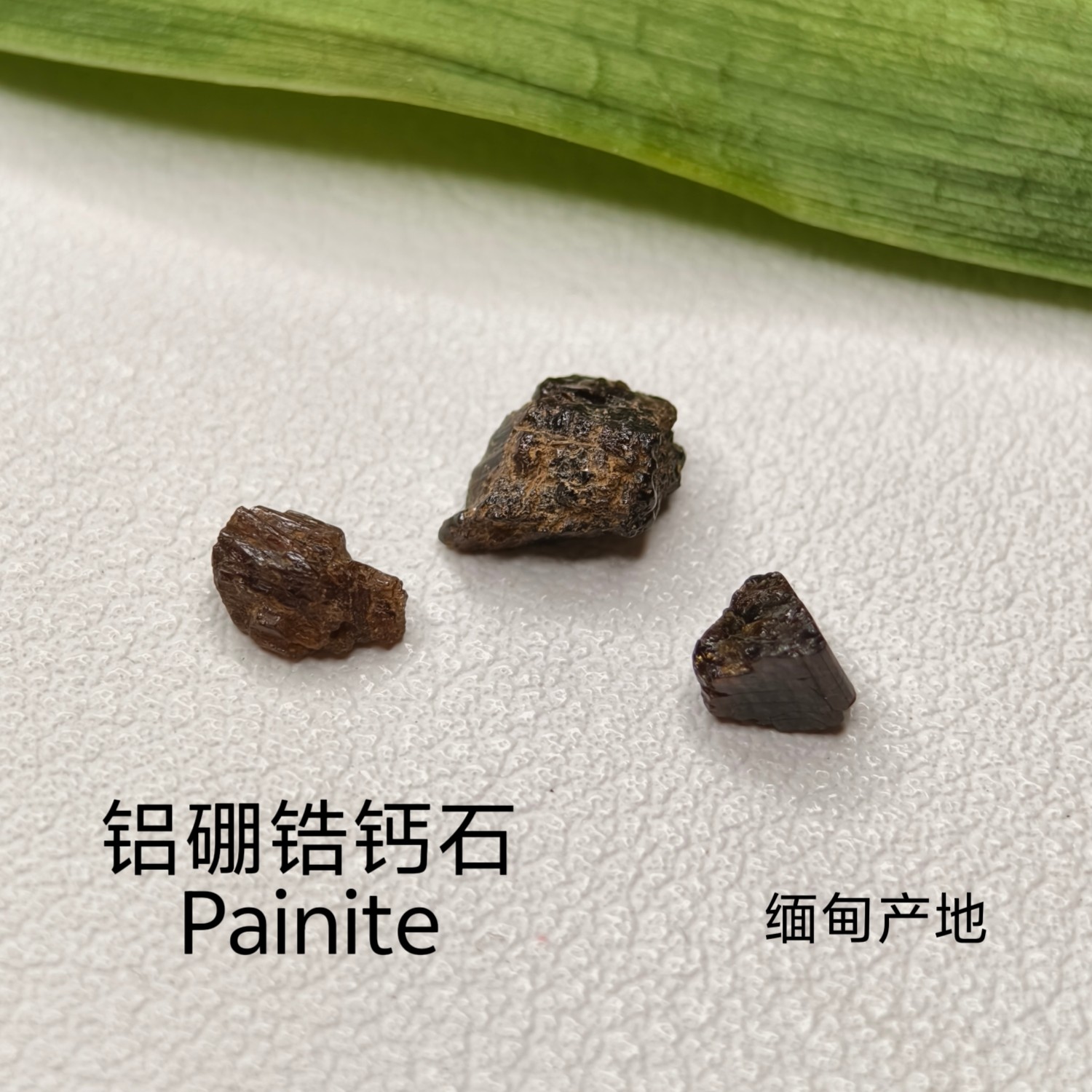 ミャンマー産の希少な原石であるパイナイトをマクロ撮影した写真。