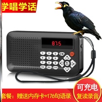 Xinjiang myna learns to speak repeater machine parrot learns to speak artifact black phoenix whistle training myna recording bird