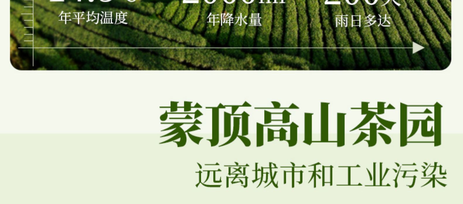 天蜀 蒙顶山茉莉花茶 50g 蒙山毛峰绿茶+横县茉莉花 图15