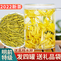 Authentique Anji Golden Bud Tea 2022 New Tea Listing Ming Ancien Grade Spécial Thé blanc Thé Vert Thé 500g