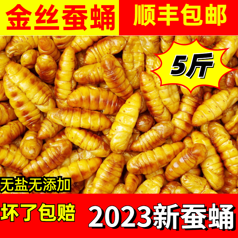 Fresh golden silk silkworm chrysalis fresh and frozen commercial barbecue special class Shandong special production farmhouse mulberry silkworm Shunfeng express-Taobao