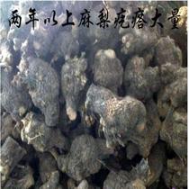 Root carving wool pear lumps bow material tree roots dead wood landscaping wood logs tree burl fire glazed lumps wood