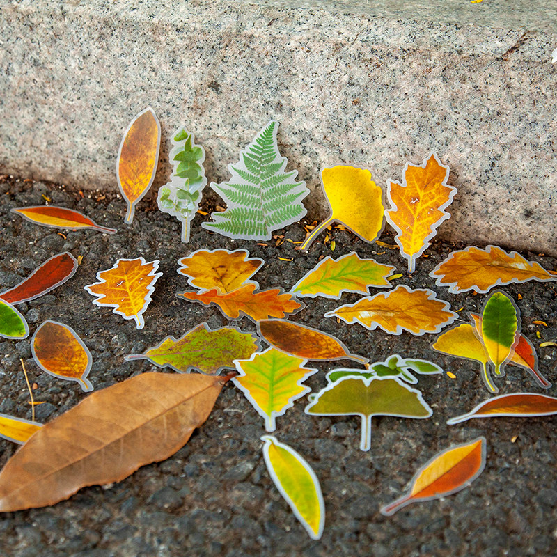 8 Autumn Double Material Stickers Bag Romantic Maple Leaf Fall Leaves Diy Growth Brochure Hand Ledger Decorative Material Paste