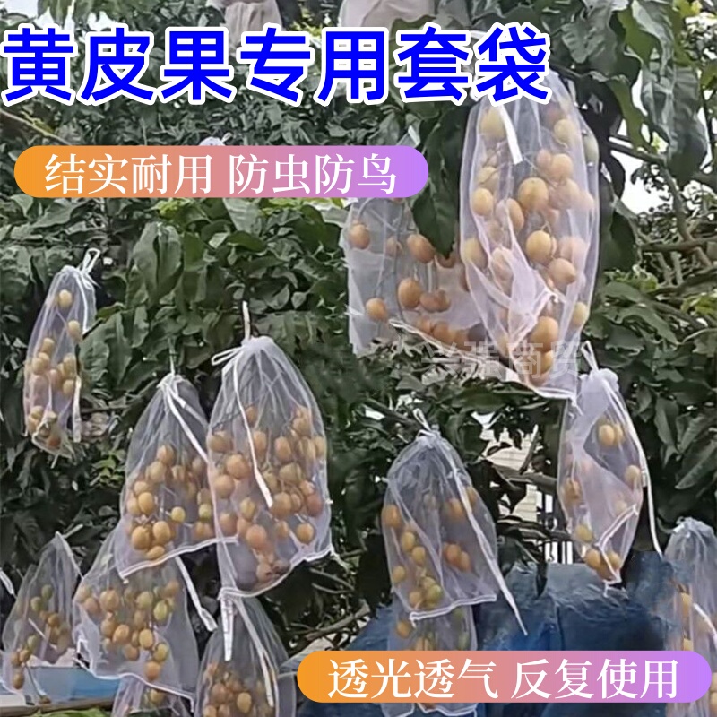 Yellow Fruit Bagging Bags, Insect-Proof Bags for Yellow Fruits, Special Bags for Longan, Lychee, Pomegranate, Longan Fruit, Bird-Proof Bags for Bayberry, Blueberries Yellow Fruit Bagging Bags, Insect-Proof Bags for Yellow Fruits, Special Bags for Longan, Lychee, Pomegranate, Longan Fruit, Bird-Proof Bags for Bayberry, Blueberries
