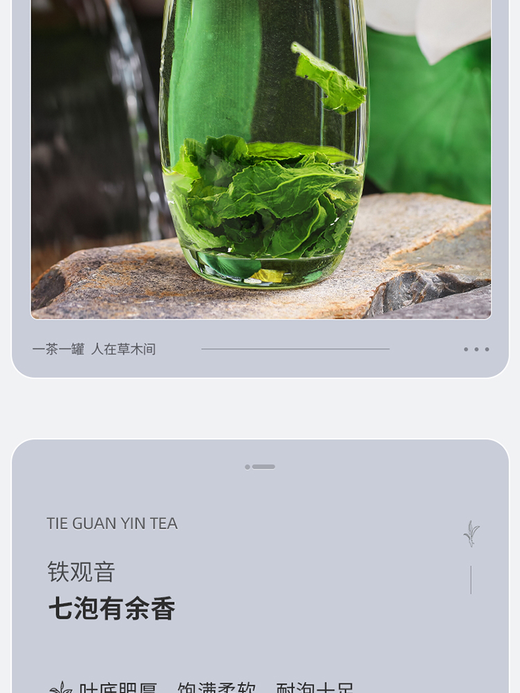 正品安溪铁观音2021特乌龙茶清香型春茶125g