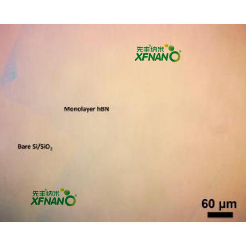 先丰纳米ACS Material 一步转移氮化硼薄膜 XF240