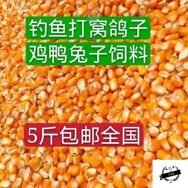 Corn kernels dried fish bait nest small grain corn feeding pigeon bulk bird corn kernel large grain chicken duck feed five pounds