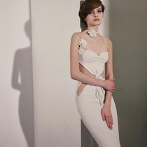 European and American Wind 2022 Summer new womens fashion Fashion Hanging neck Shoulders Sexy Dew with a dress and a dress.