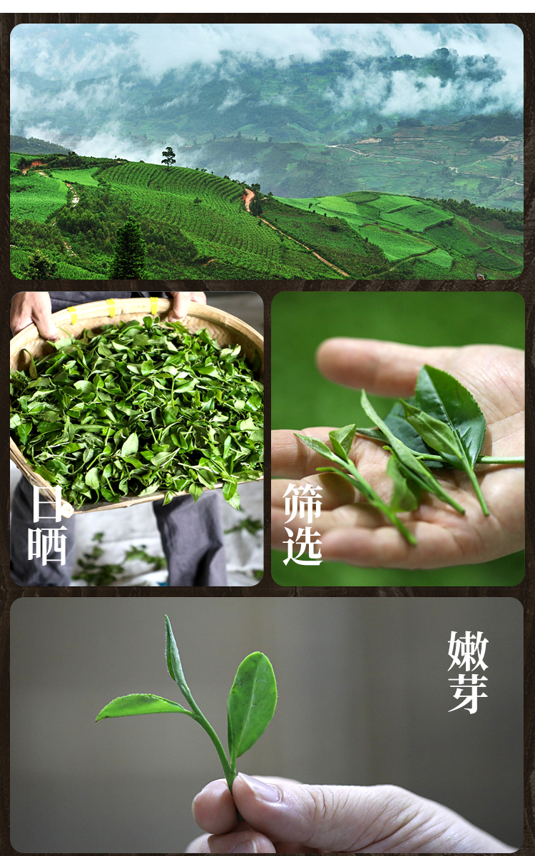 【弘德和】福鼎白茶寿眉散茶150g