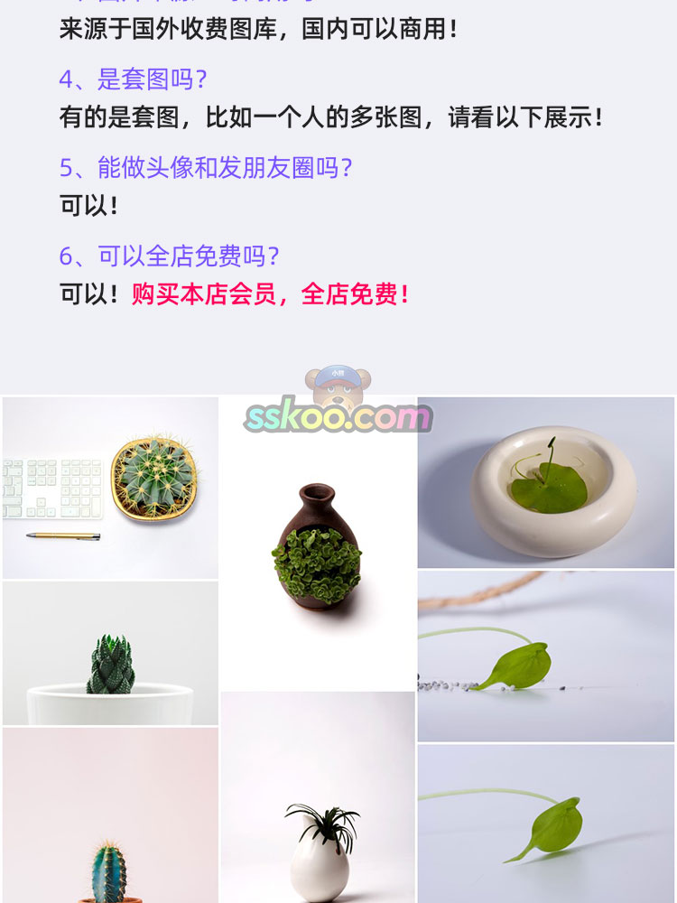 室内盆景盆栽植物绿植花草JPG图片高清摄影照片背景平面设计素材插图2