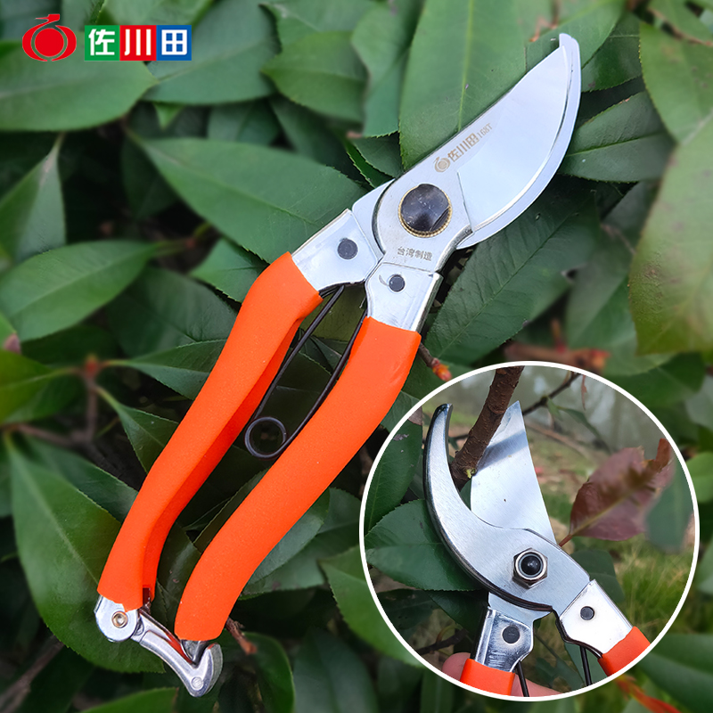 Sagawada 168T Fruit Tree Pruning Shears 876 Pruning Branches GardenIng Flower Trimmers Garden Labor-Saving Pruning Thick Branches Scissors
