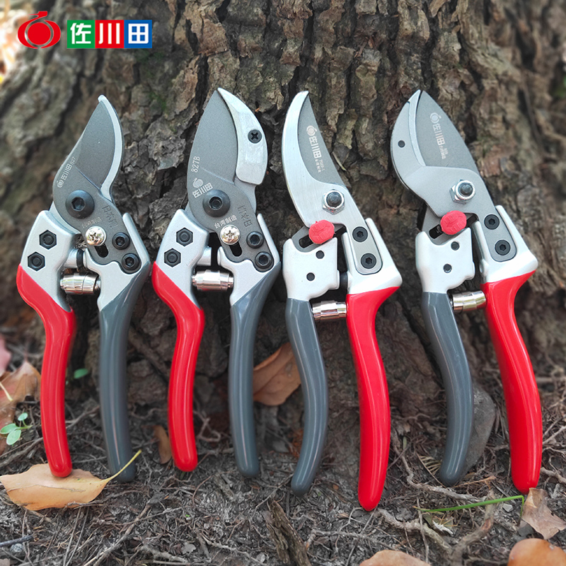 Sagawa Tian fruit tree tree branch shears fruit branch tree branch shear garden labor-saving pruning rough branch scissors