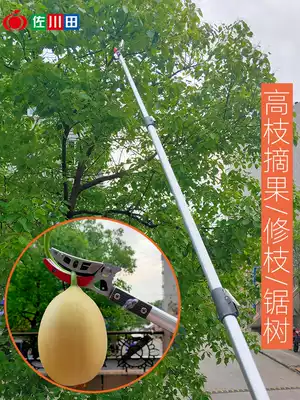 Sagawada fruit tree fruit picking scissors Picking Lychee Longan loquat scissors Telescopic high branch scissors saw picker Repairing branch scissors
