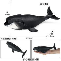 Children's Early Education Cognitive Toys, Simulated Marine Life Models, Bowhead Whale, Sperm Whale, Shark Dolls, Ornaments, Figurines