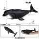 Children's Early Education Cognitive Toys, Simulated Marine Life Models, Bowhead Whale, Sperm Whale, Shark Dolls, Ornaments, Figurines