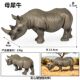 Children's Toys Realistic Solid Animal Models Hippopotamus Rhinoceros Lion Tiger Black Panther Cheetah Panda Koala Figurines