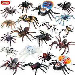 Children's Cognitive Toys, Simulated Animal Models, Insects, Solid Rainforest Black Spider, Tarantula, Bird-Eating Spider, Peacock Spider