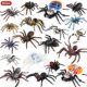 Children's Cognitive Toys, Simulated Animal Models, Insects, Solid Rainforest Black Spider, Tarantula, Bird-Eating Spider, Peacock Spider