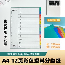 索引纸a4隔页纸空白无印彩色分类纸塑料归类卡纸12页标签活页11孔