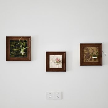 Air pineapple photo frame decorative painting living room bedroom soft decoration