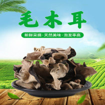 Fungus 500g dry goods in bulk wild specialty grade catering hot pot restaurant canteen crispy Sichuan fungus white back