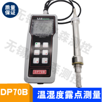 Micro water meter DP70B dew point meter Handheld dew point meter DP70 portable dew point meter Temperature and humidity dew point meter