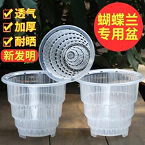蝴蝶兰专用控根花盆透明透气塑料杯网镂空文心兰石斛种植花盆