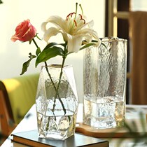 北欧ins轻奢风玻璃花瓶透明水养富贵竹百合几何花瓶客厅插花摆件