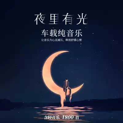 Car audio amplifier memory card suitable for beauty salon health Hall tea room studio Tea Restaurant Hotel exhibition hall cafe SPA hall light music car SD card