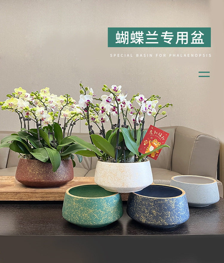 hGyTiPyjzNQBNGutwsKXhrjcZZ08il8M2kjY