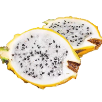 SF gift box Hainan Sanya specialty birds nest fruit 4 pounds unicorn fruit yellow dragon fruit birds nest fruit fruit for pregnant women