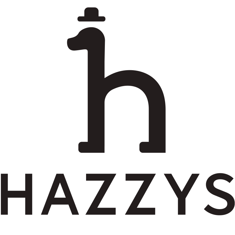 hazzys童装outlet店