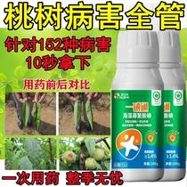 Peach Tree Special Medicinal Peach Tree Special Pesticide Peach Tree Disease All Cure Perforation Disease Flow Gum Disease Anthrax Brown Rot
