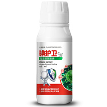 Special medicine for broccoli disease complete killing and treatment of broccoli disease fungicide damping off black spot downy mildew gray root rot