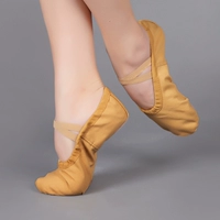 Стационарный верблюд