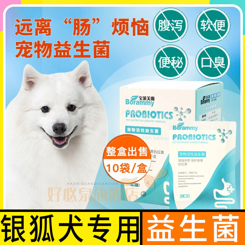Silver Fox Dog Diarrhoea Dog Eat Probiotic Gastrointestinal Patient Soft and Large Dog Dog