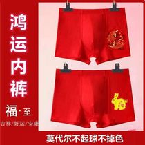 Rabbit year Benny year underwear men 2023 belongs to Rabbit Big Red Modell Flat Cape Mens mid-waist Four-corner pants underpants