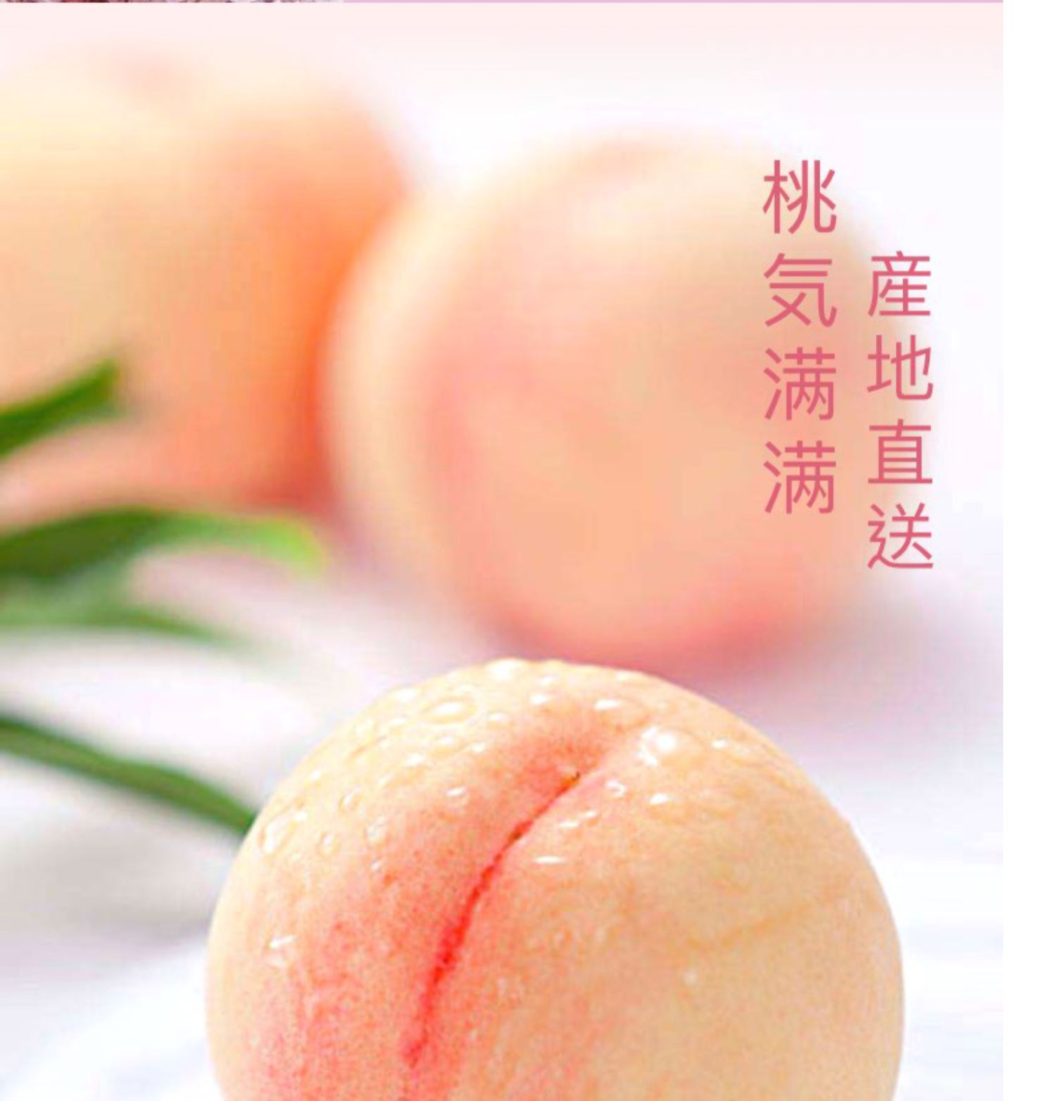 zuo一下海绵宝宝联名蒟蒻果冻