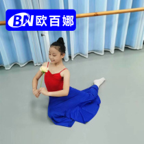 Obaina Professional Dance Classroom Floor Gum Indoor Dance Room Environmentally Friendly Wear-Resistant Floor Rhythmic Gymnastics Non-Slip Mat