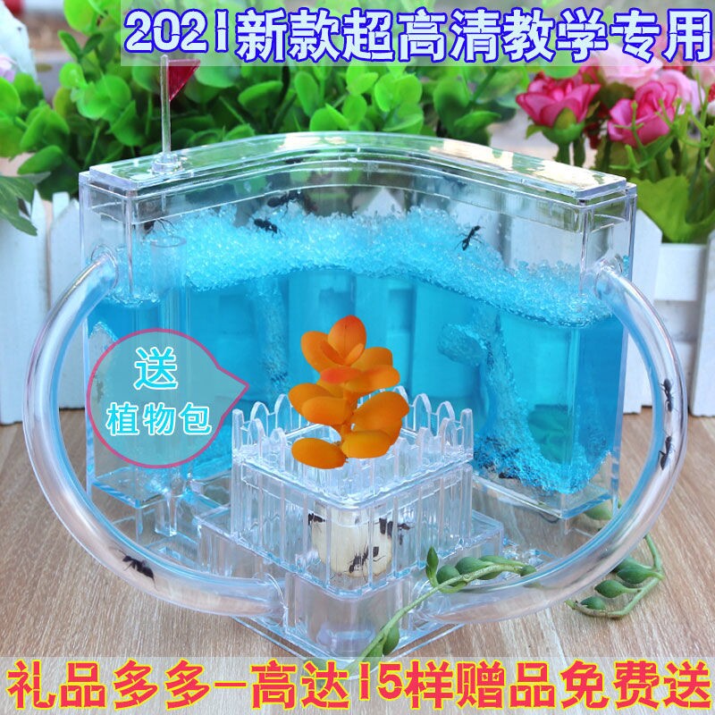 Ant Castle Science Education Toy Castle Education Teaching Tools Workshop Student Gift Ant House Gift Ant Queen Group