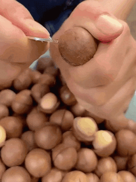 10.gif